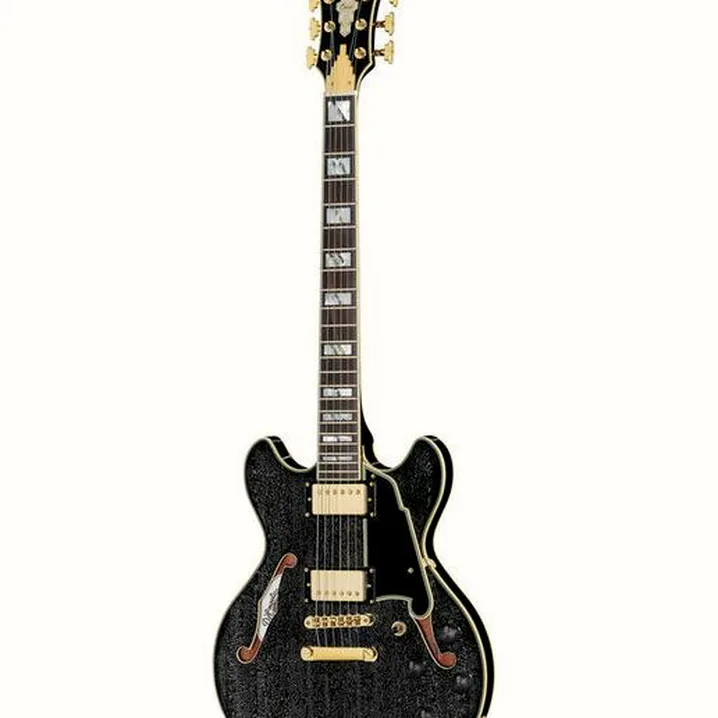 La chitarra elettrica DAngelico Excel Mini DC Black Dog / Recensione, Confronto & Test