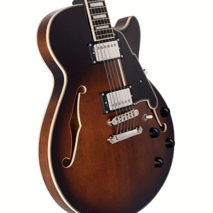 La chitarra elettrica DAngelico Premier SS Brown Burst: Confronto, Recensioni, Test