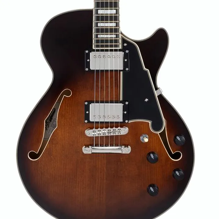 La chitarra elettrica DAngelico Premier SS Brown Burst: Confronto, Recensioni, Test