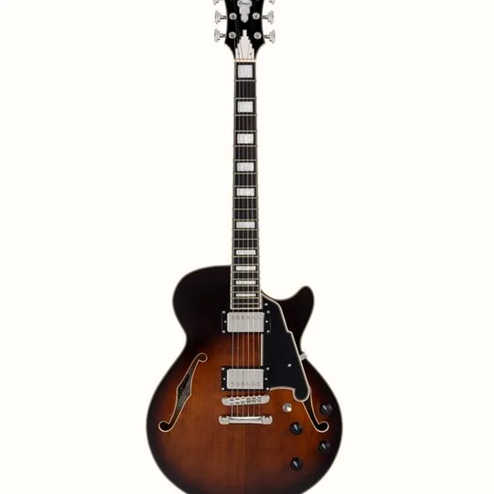 La chitarra elettrica DAngelico Premier SS Brown Burst: Confronto, Recensioni, Test