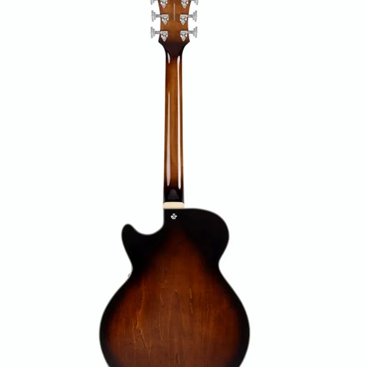 La chitarra elettrica DAngelico Premier SS Brown Burst: Confronto, Recensioni, Test