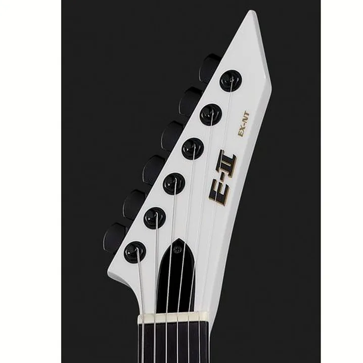 La chitarra elettrica ESP E-II EX NT SW Recensione, Test & Confronto