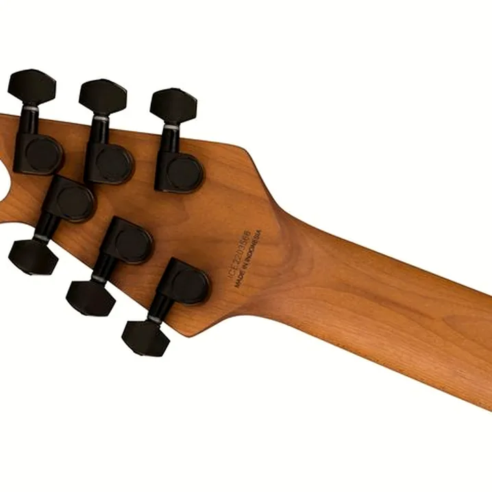 La chitarra elettrica Evh Wolfgang WG Standard AS FRST / Recensione, Confronto & Test