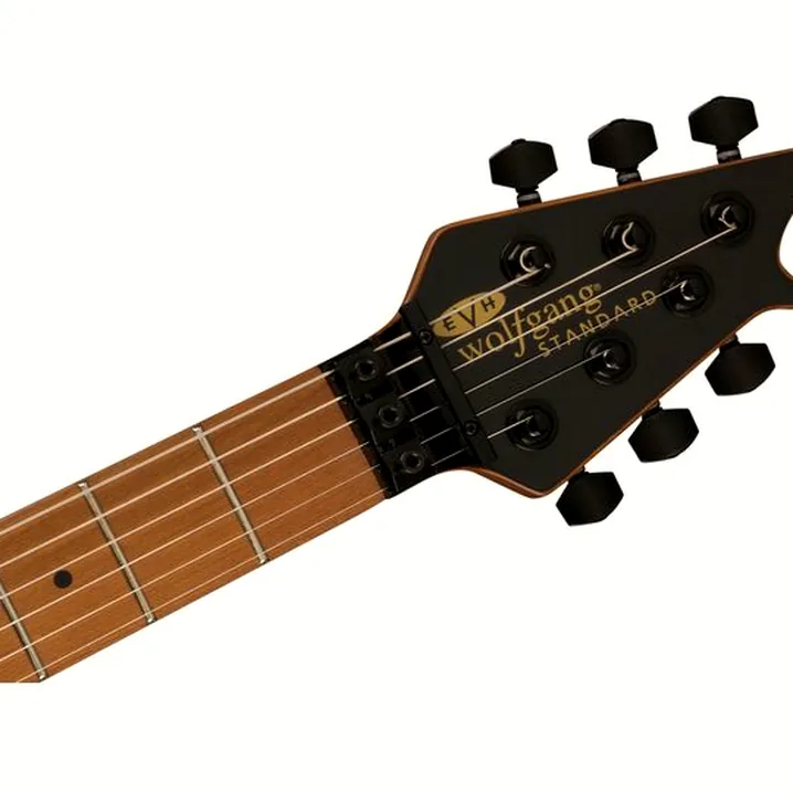 La chitarra elettrica Evh Wolfgang WG Standard AS FRST / Recensione, Confronto & Test