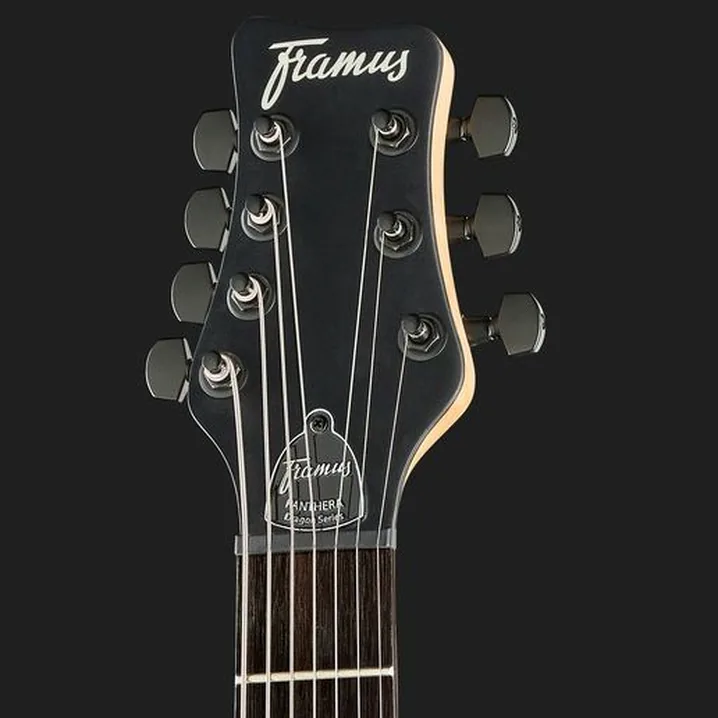 La chitarra elettrica Framus D-Series Panthera Pro 7 SBKS: Confronto, Recensioni, Test