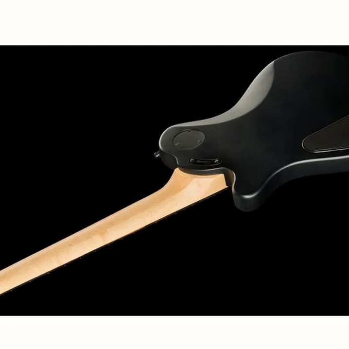 La chitarra elettrica Framus D-Series Panthera Pro 7 SBKS: Confronto, Recensioni, Test