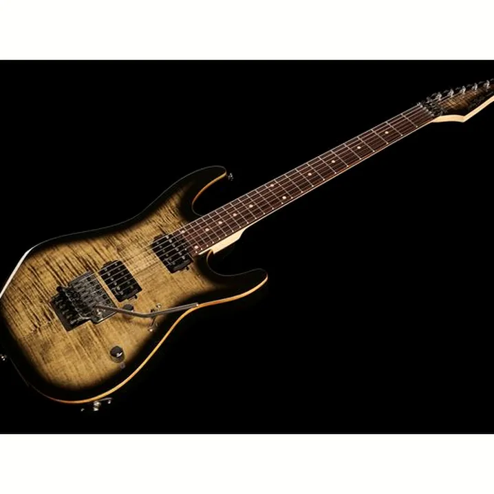 La chitarra elettrica Harley Benton Fusion-III HH FR EB FCB Recensione, Test & Confronto