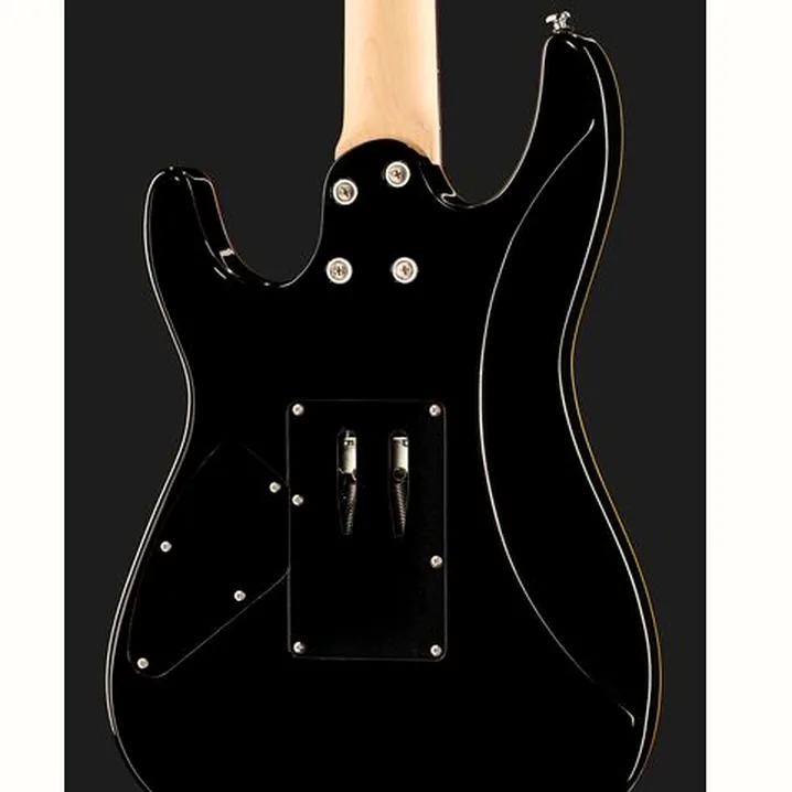La chitarra elettrica Harley Benton Fusion-III HH FR EB FCB Recensione, Test & Confronto