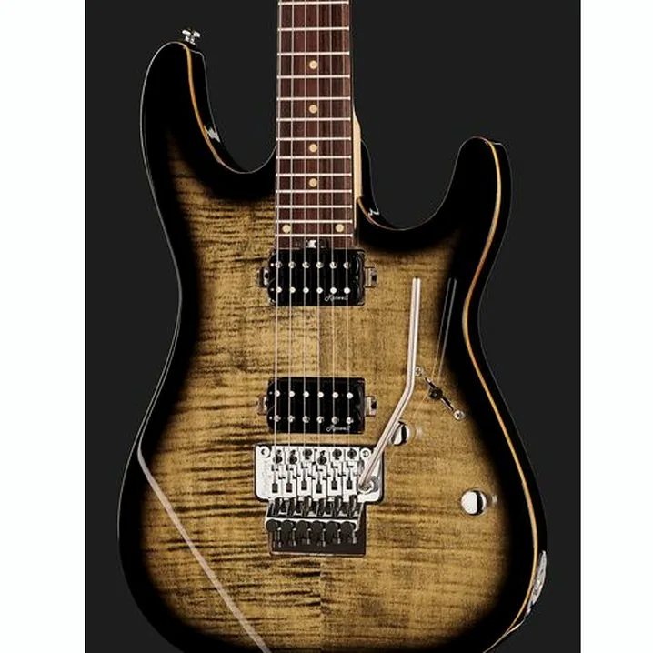 La chitarra elettrica Harley Benton Fusion-III HH FR EB FCB Recensione, Test & Confronto