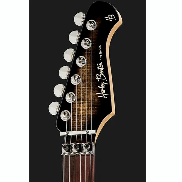 La chitarra elettrica Harley Benton Fusion-III HH FR EB FCB Recensione, Test & Confronto
