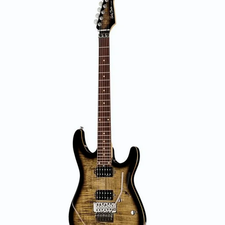 La chitarra elettrica Harley Benton Fusion-III HH FR EB FCB Recensione, Test & Confronto