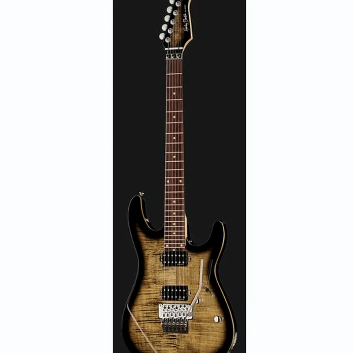 La chitarra elettrica Harley Benton Fusion-III HH FR EB FCB Recensione, Test & Confronto