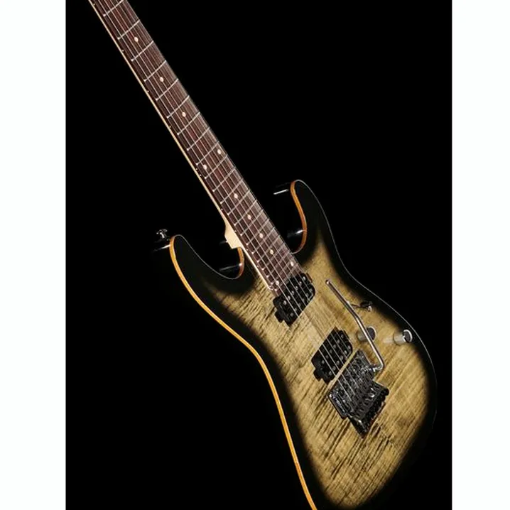 La chitarra elettrica Harley Benton Fusion-III HH FR EB FCB Recensione, Test & Confronto