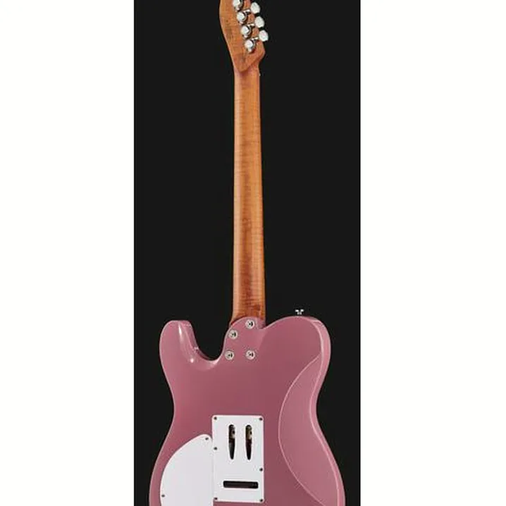 La chitarra elettrica Harley Benton Fusion-T HH Roasted DP Recensione, Test & Confronto