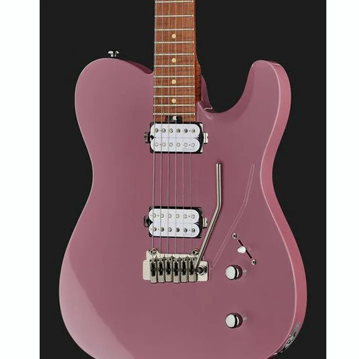 La chitarra elettrica Harley Benton Fusion-T HH Roasted DP Recensione, Test & Confronto