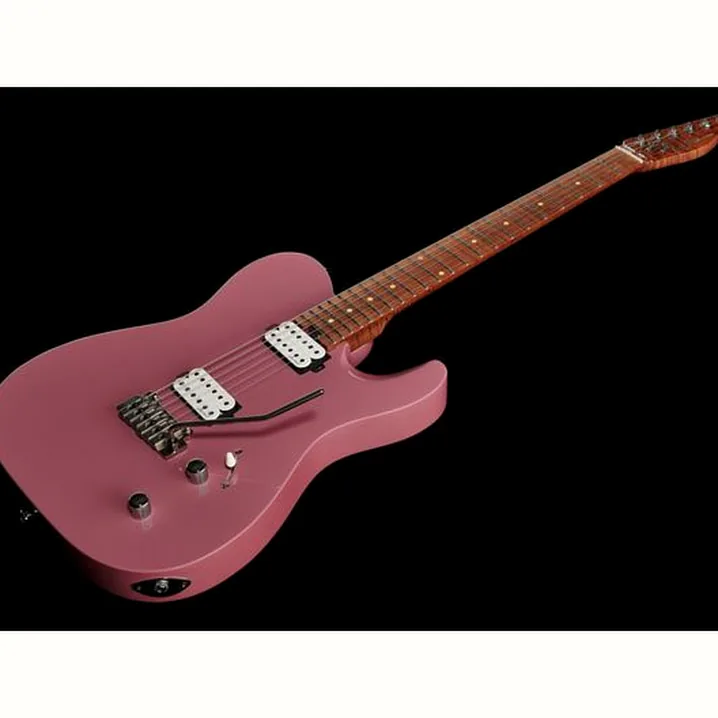 La chitarra elettrica Harley Benton Fusion-T HH Roasted DP Recensione, Test & Confronto
