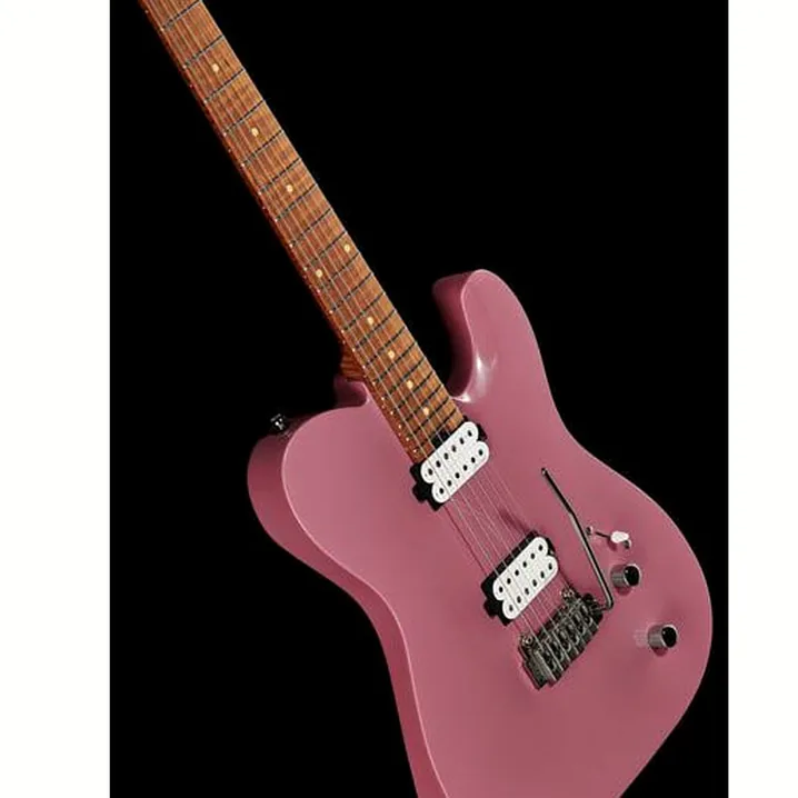 La chitarra elettrica Harley Benton Fusion-T HH Roasted DP Recensione, Test & Confronto