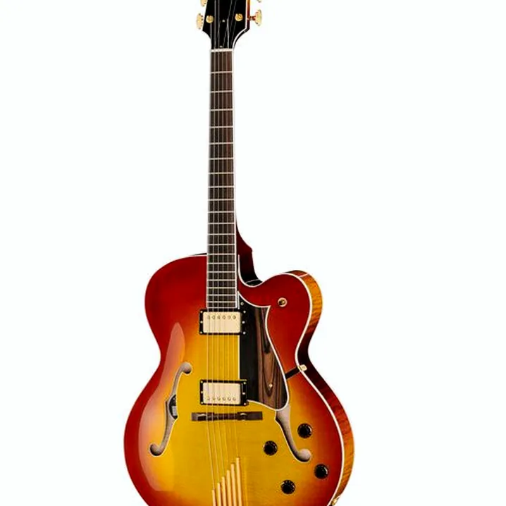 La chitarra elettrica Heritage Guitar Eagle Classic AB Recensione, Test & Confronto