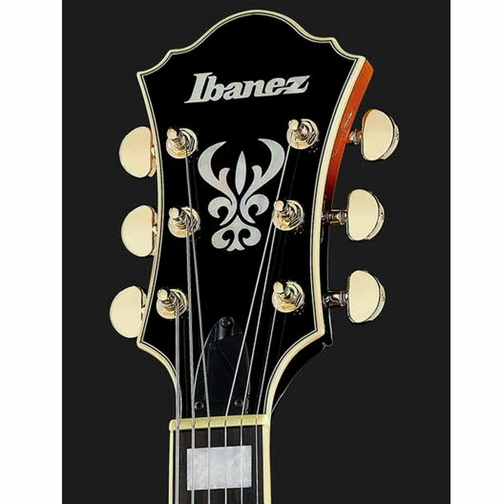 La chitarra elettrica Ibanez AF95-BS / Confronto, Test e Recensione