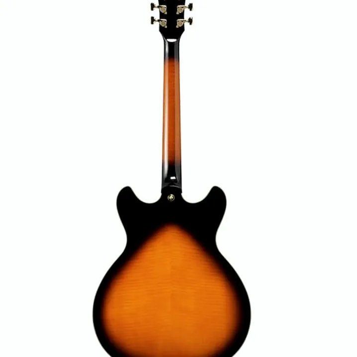 La chitarra elettrica Ibanez AS2000-BS: Confronto, Recensioni, Test