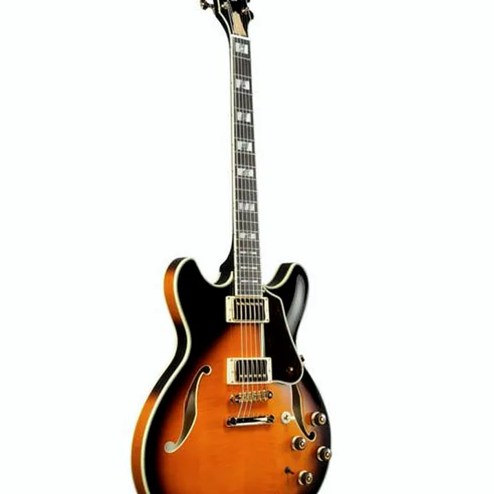 La chitarra elettrica Ibanez AS2000-BS: Confronto, Recensioni, Test