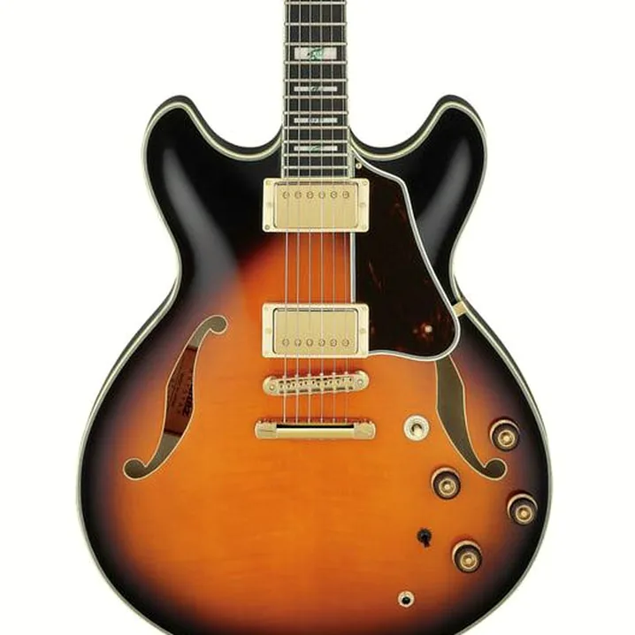 La chitarra elettrica Ibanez AS2000-BS: Confronto, Recensioni, Test