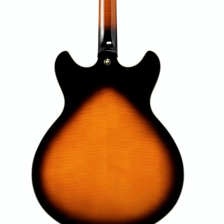 La chitarra elettrica Ibanez AS2000-BS: Confronto, Recensioni, Test