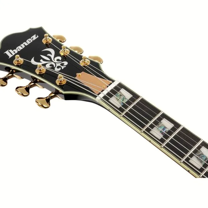 La chitarra elettrica Ibanez AS2000-BS: Confronto, Recensioni, Test