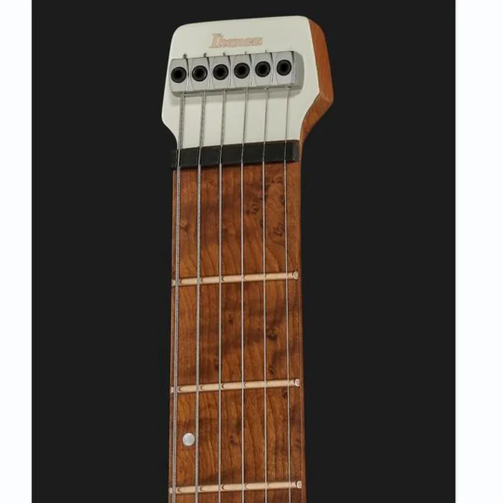 La chitarra elettrica Ibanez ICHI10-VWM Recensione, Test & Confronto