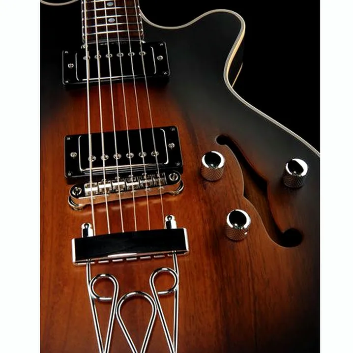 La chitarra elettrica Maton BB1200JH Josh Homme Recensione, Test & Confronto