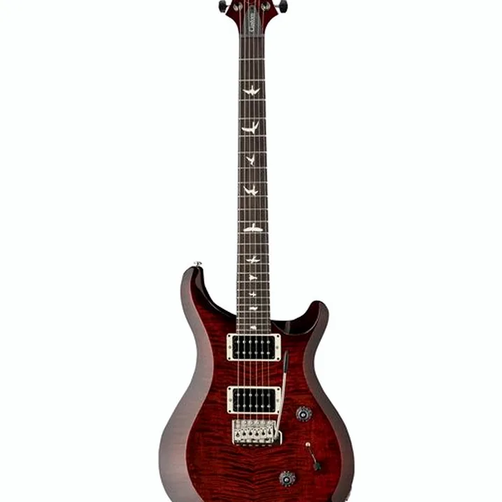 La chitarra elettrica PRS S2 Custom 24 Birds FR, Recensione, Test, Confronto