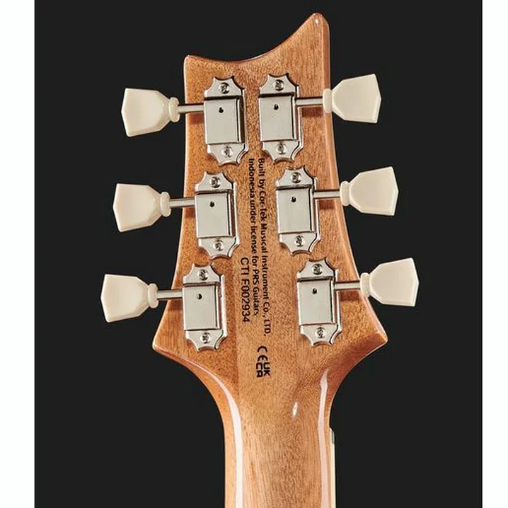 La chitarra elettrica PRS SE McCarty 594 FE: Recensione, Test & Confronto