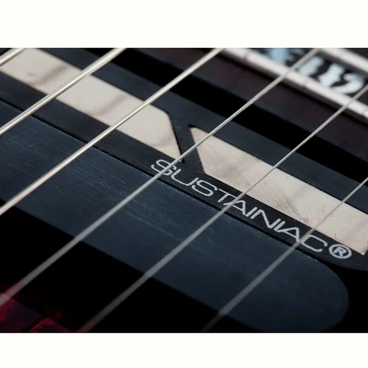 La chitarra elettrica Schecter C-1 FR S Apocalypse Red Reign Recensione, Test & Confronto