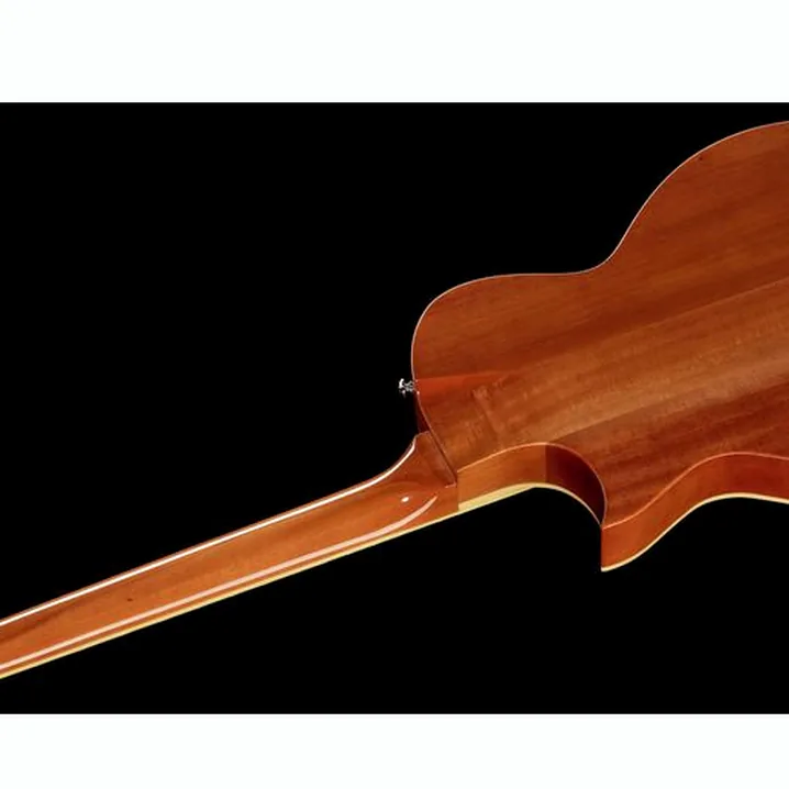 La chitarra ESP LTD TL-6 Fm AQMB: Confronto, Test e Recensione