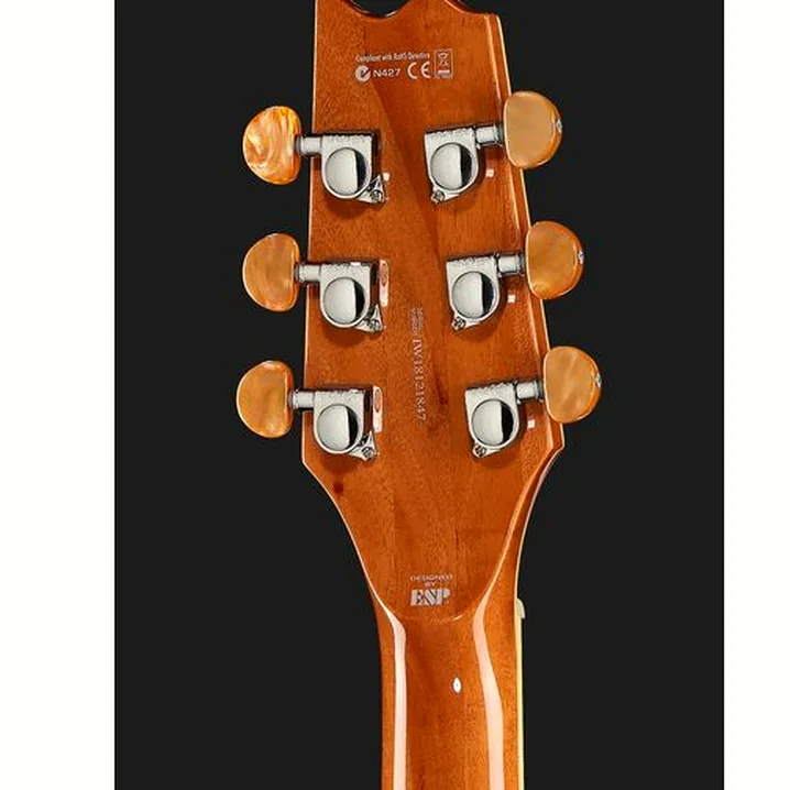 La chitarra ESP LTD TL-6 Fm AQMB: Confronto, Test e Recensione