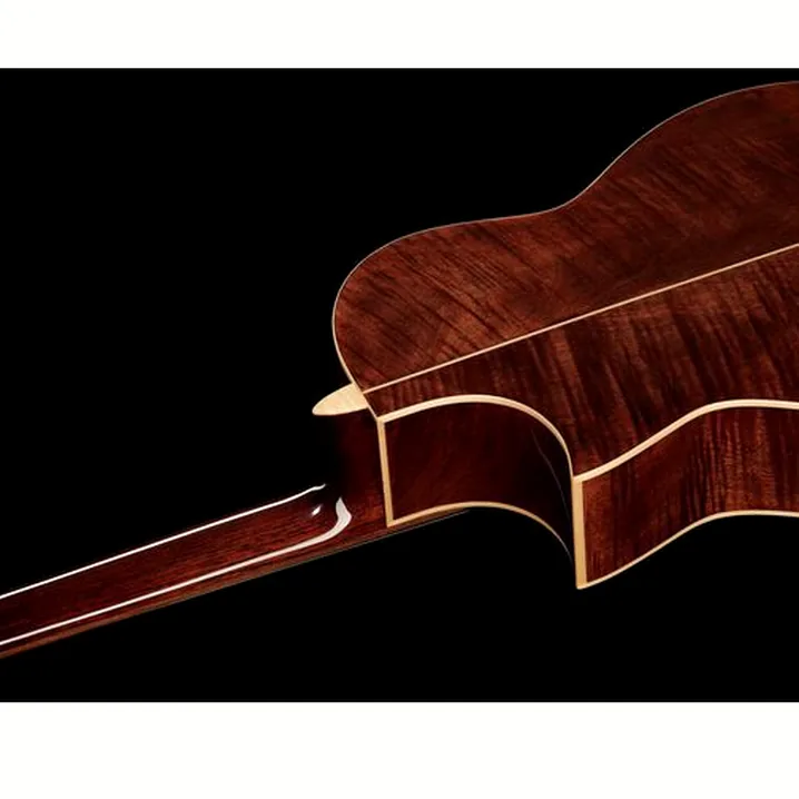La chitarra La Mancha Opalo SX-FEN: Test, Recensioni e Confronto