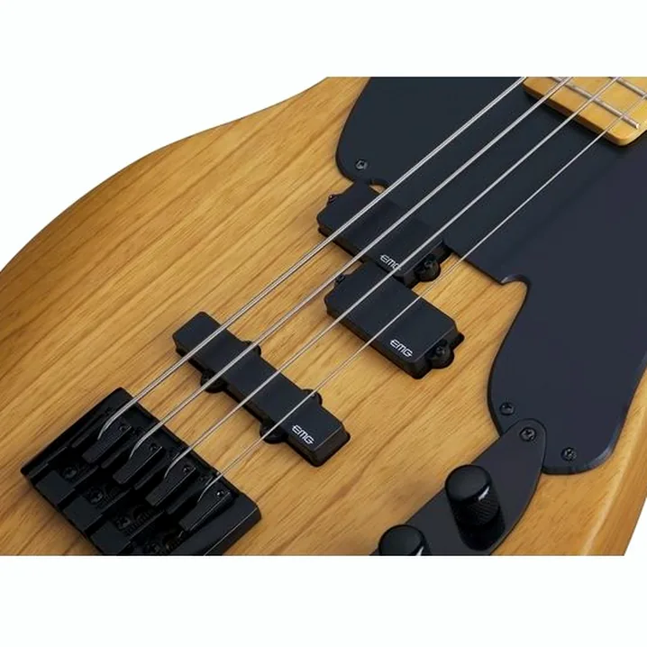 Il basso Schecter Model-T Session-4 ANS, Recensione, Confronto, Test