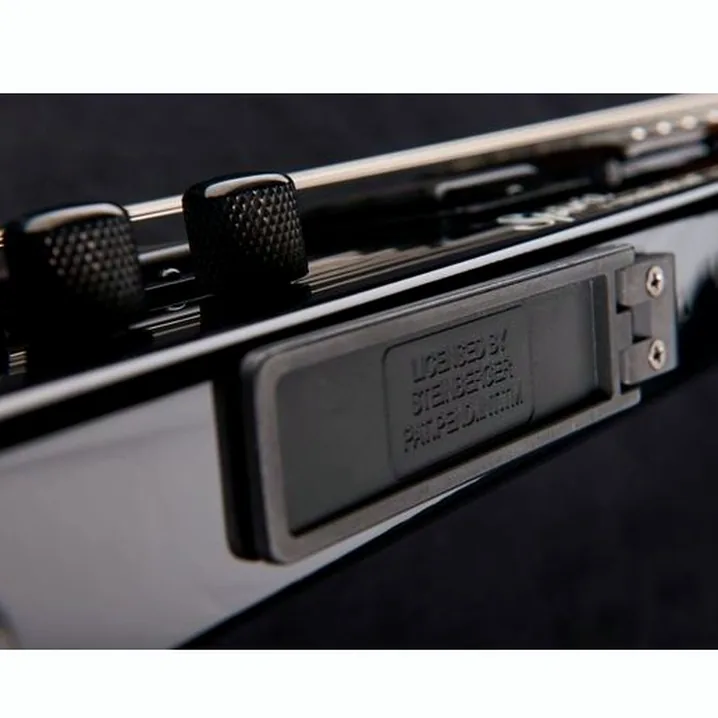 Il basso Steinberger Guitars Spirit XT-25 Standard Bass BK: Confronto, Test e Recensioni