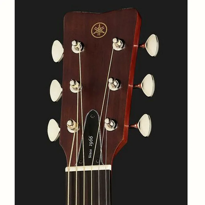 La chitarra Yamaha FGX5 NT – Prova, Recensione e Confronto