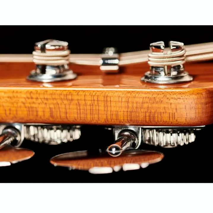 Marcus Miller P5R Alder-4 VWH / Test, Recensioni e Confronto