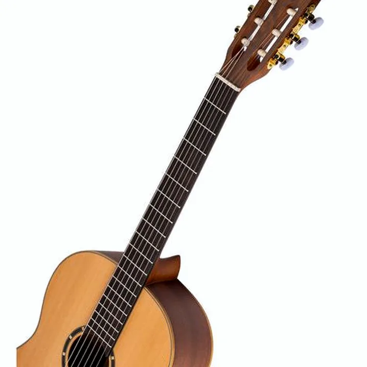 Ortega R131SN / Recensioni, Test