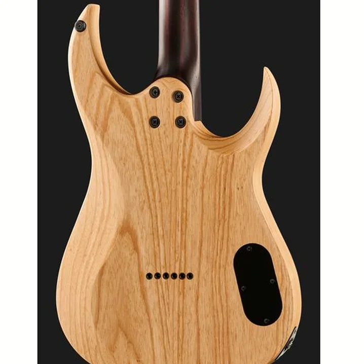 Recensione della chitarra Schecter John Browne Tao-6 LH
