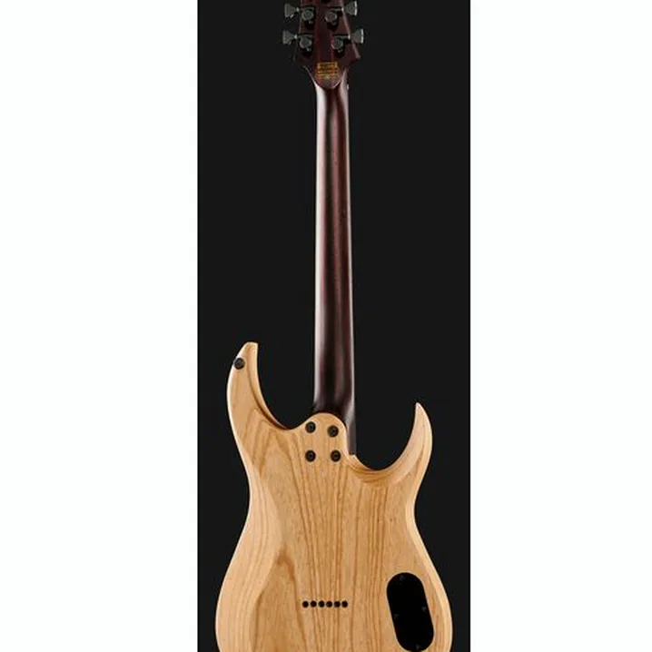 Recensione della chitarra Schecter John Browne Tao-6 LH