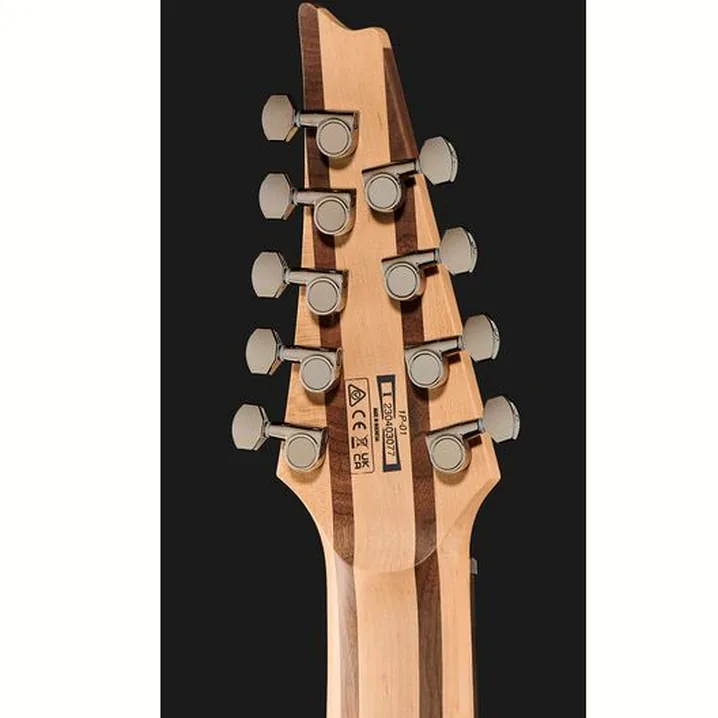 Recensione e prova della chitarra Ibanez RG9PB-TGF