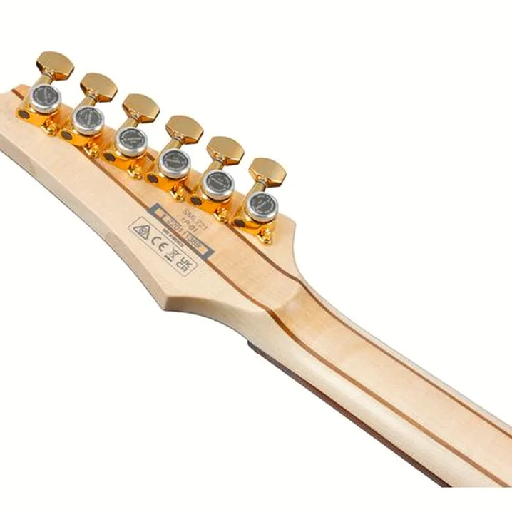 Recensione e prova della chitarra Ibanez SML721-RGC
