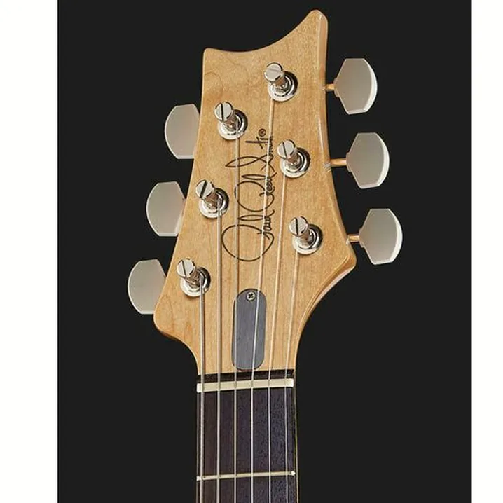 Recensione e prova della chitarra PRS John Mayer Silver Sky Tungsten