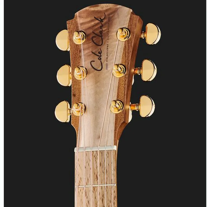 Recensione e Test Chitarra Cole Clark TL2EC-BLBL-HH Thin Line