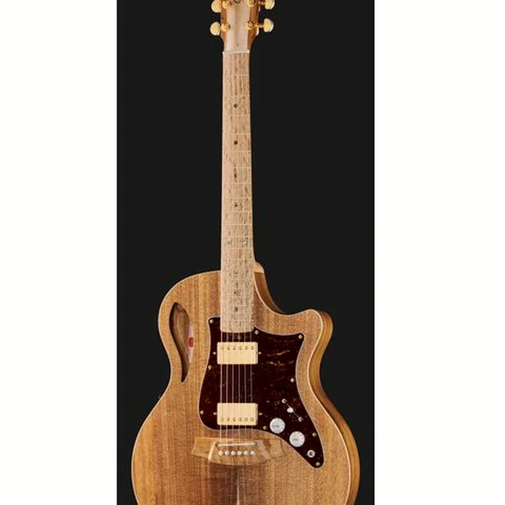 Recensione e Test Chitarra Cole Clark TL2EC-BLBL-HH Thin Line