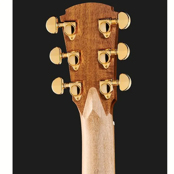 Recensione e Test Chitarra Cole Clark TL2EC-BLBL-HH Thin Line