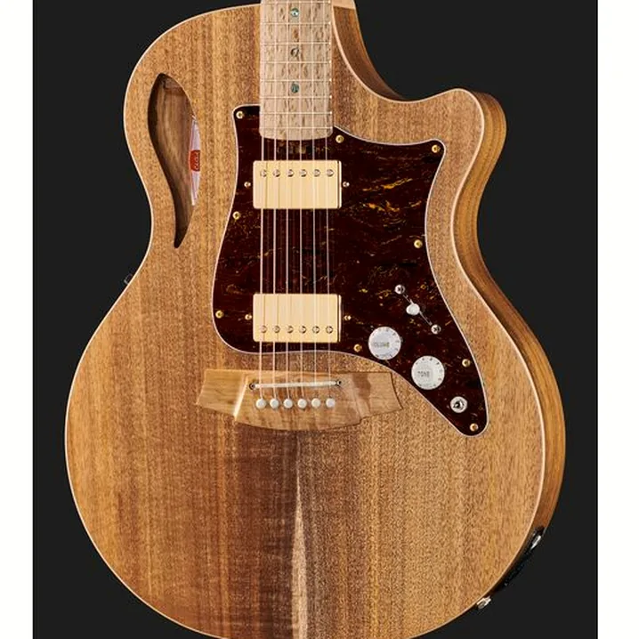 Recensione e Test Chitarra Cole Clark TL2EC-BLBL-HH Thin Line